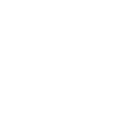 flash icon